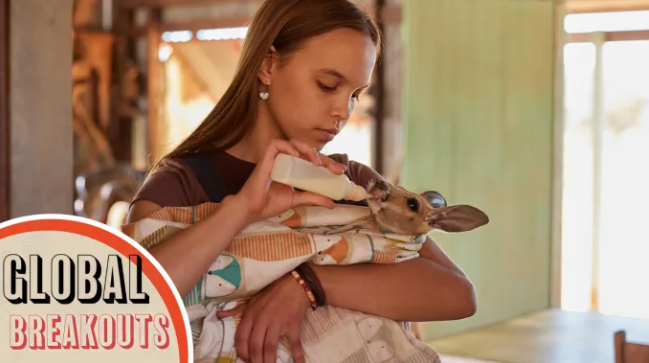 Screenshot 2025 12 08 155908